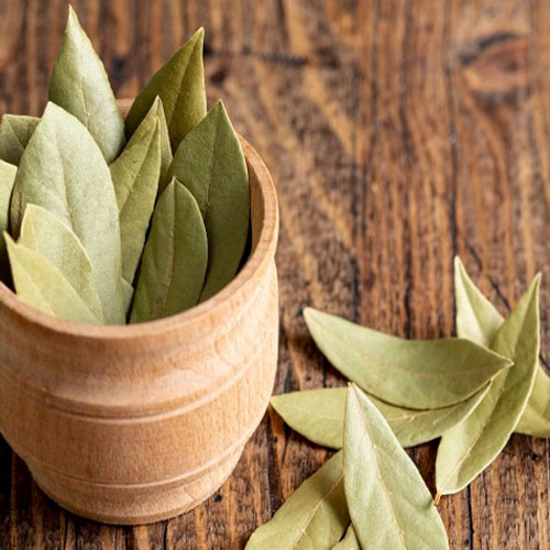 Bay Leaf