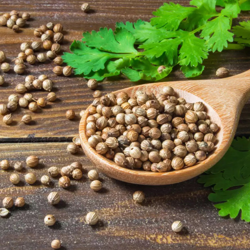 Coriander Seed