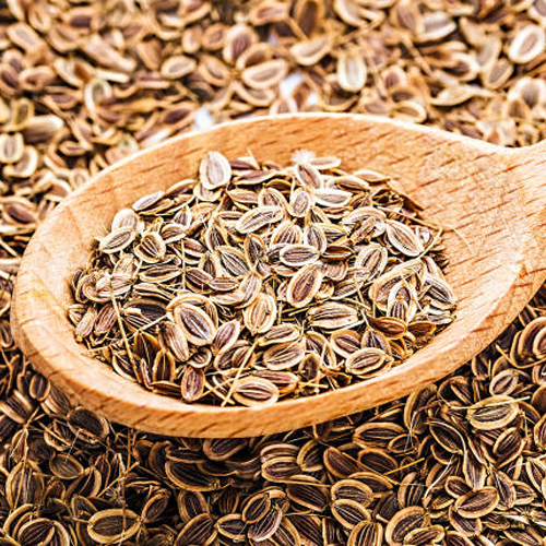 Dill Seed