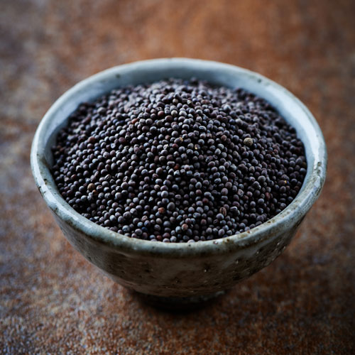 Mustard Seeds