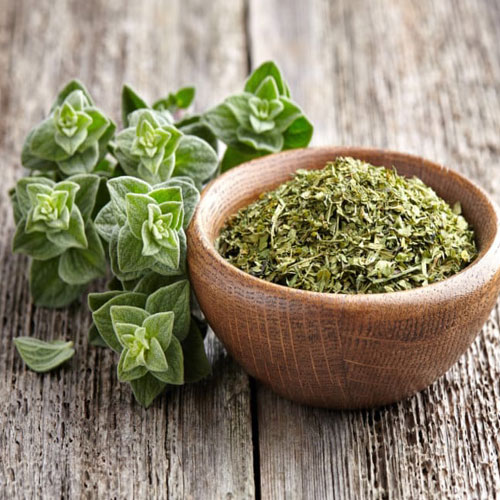 Oregano