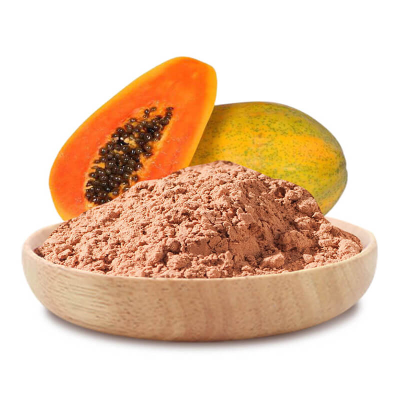 Papaya Powder