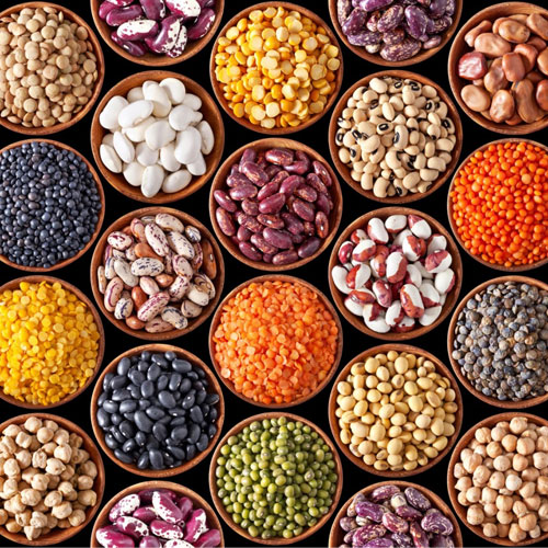 Pulses & Grains