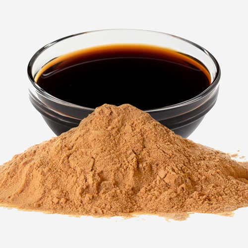 Soya Sauce Powder