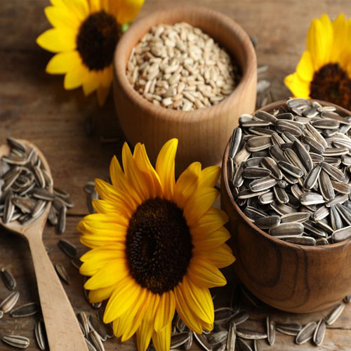 Sunflower Seeds