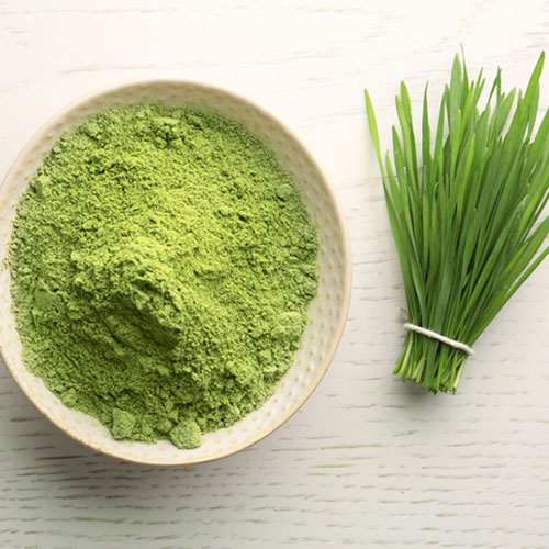 Wheat Grass