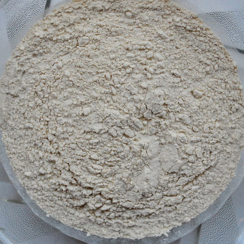 Dehydrated White Onion Powder